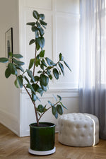 Load image into Gallery viewer, Modena Emerald Green
