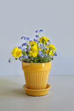 Load image into Gallery viewer, Simona Glazed
