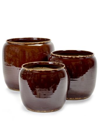 Costa (Brown)