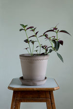 Load image into Gallery viewer, Helena Grey
