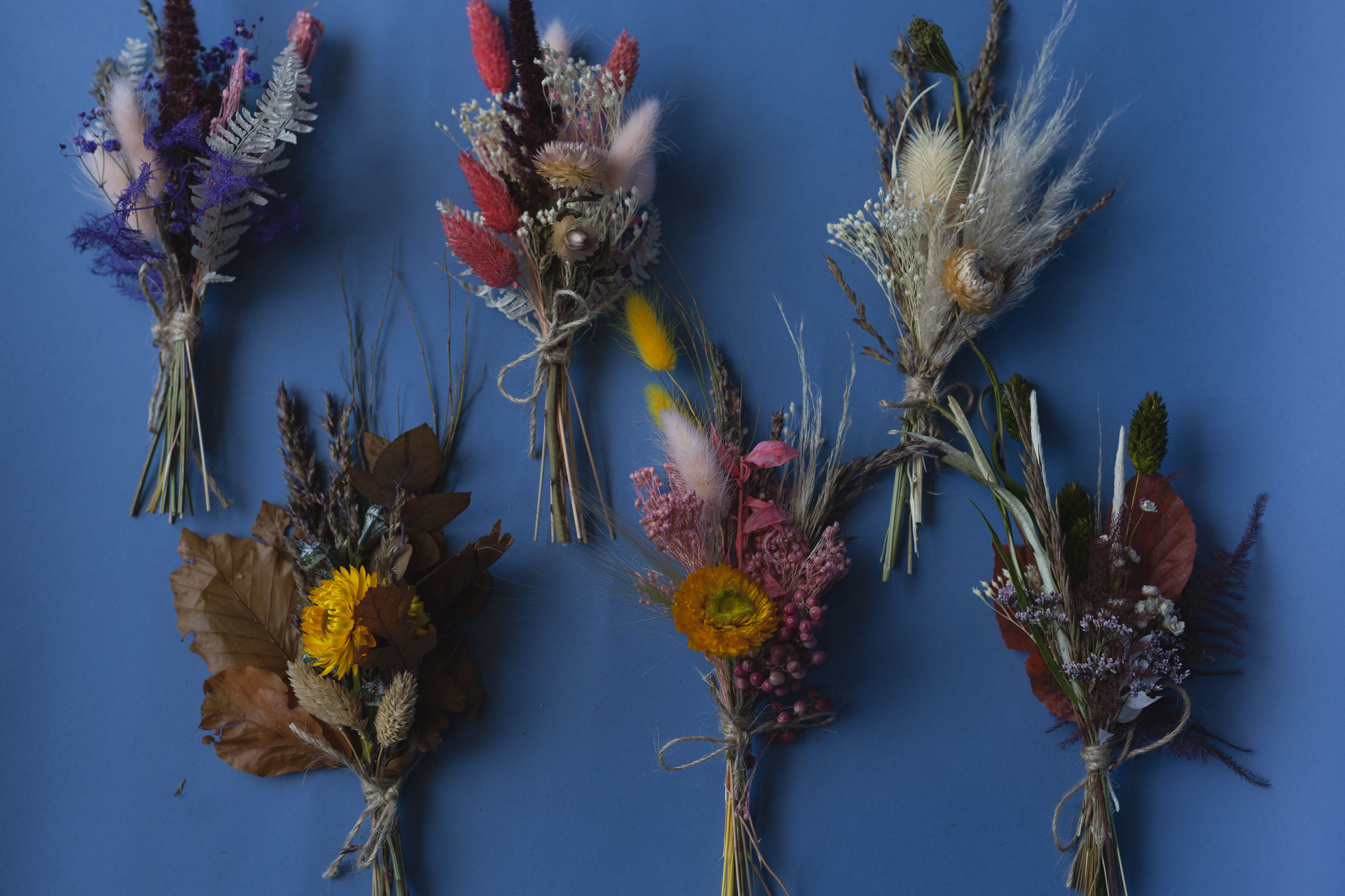 Dried Mini Collection