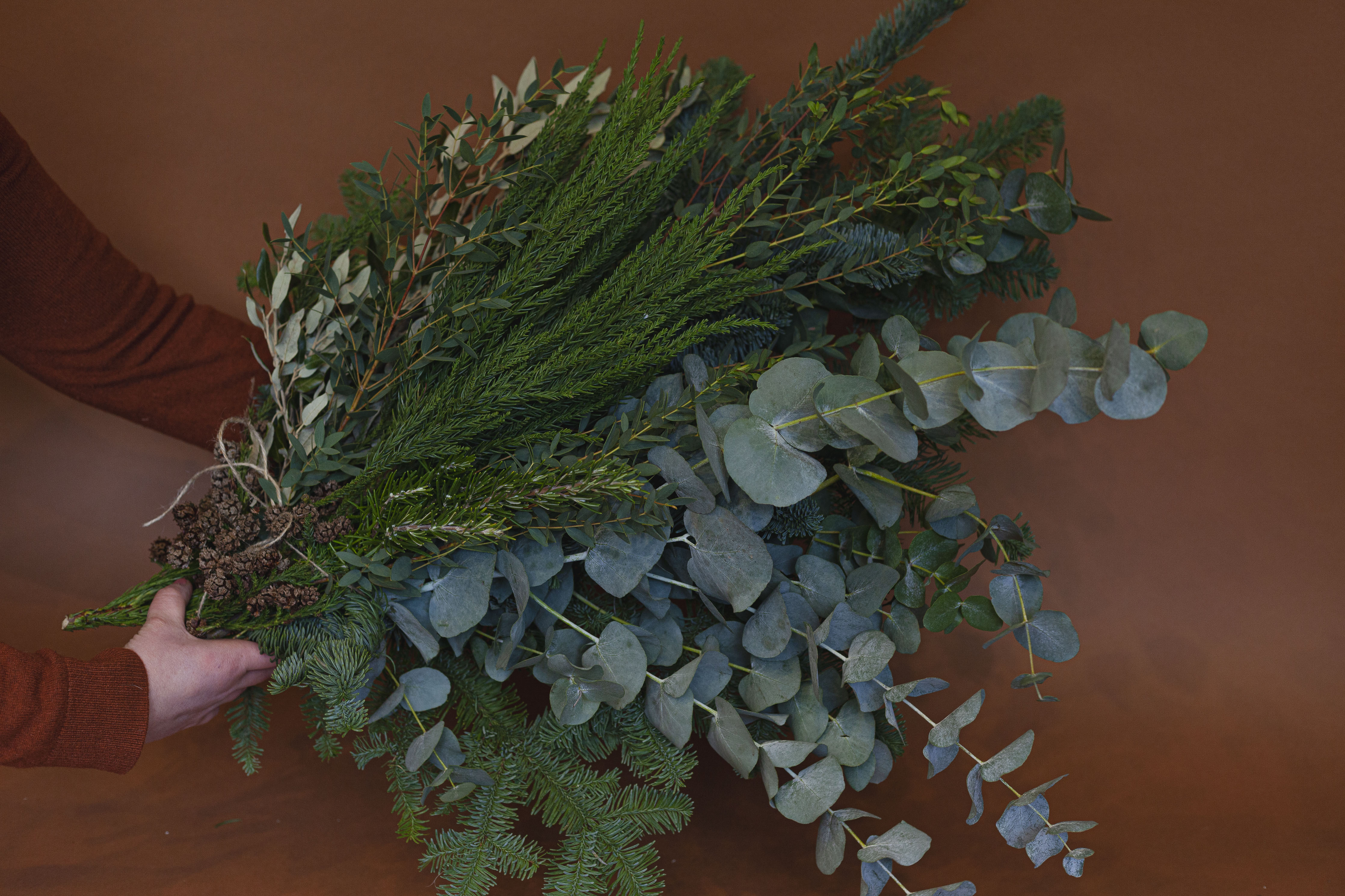 Seasonal Foliage Bundle