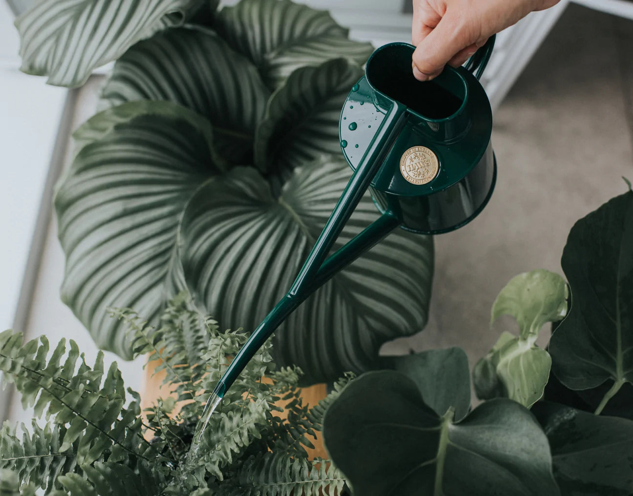 The Fazeley Flow Watering Can Green