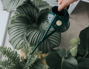 The Fazeley Flow Watering Can Green