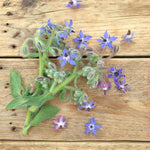 Load image into Gallery viewer, Borage Flower Mix
