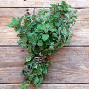 Oregano Greek