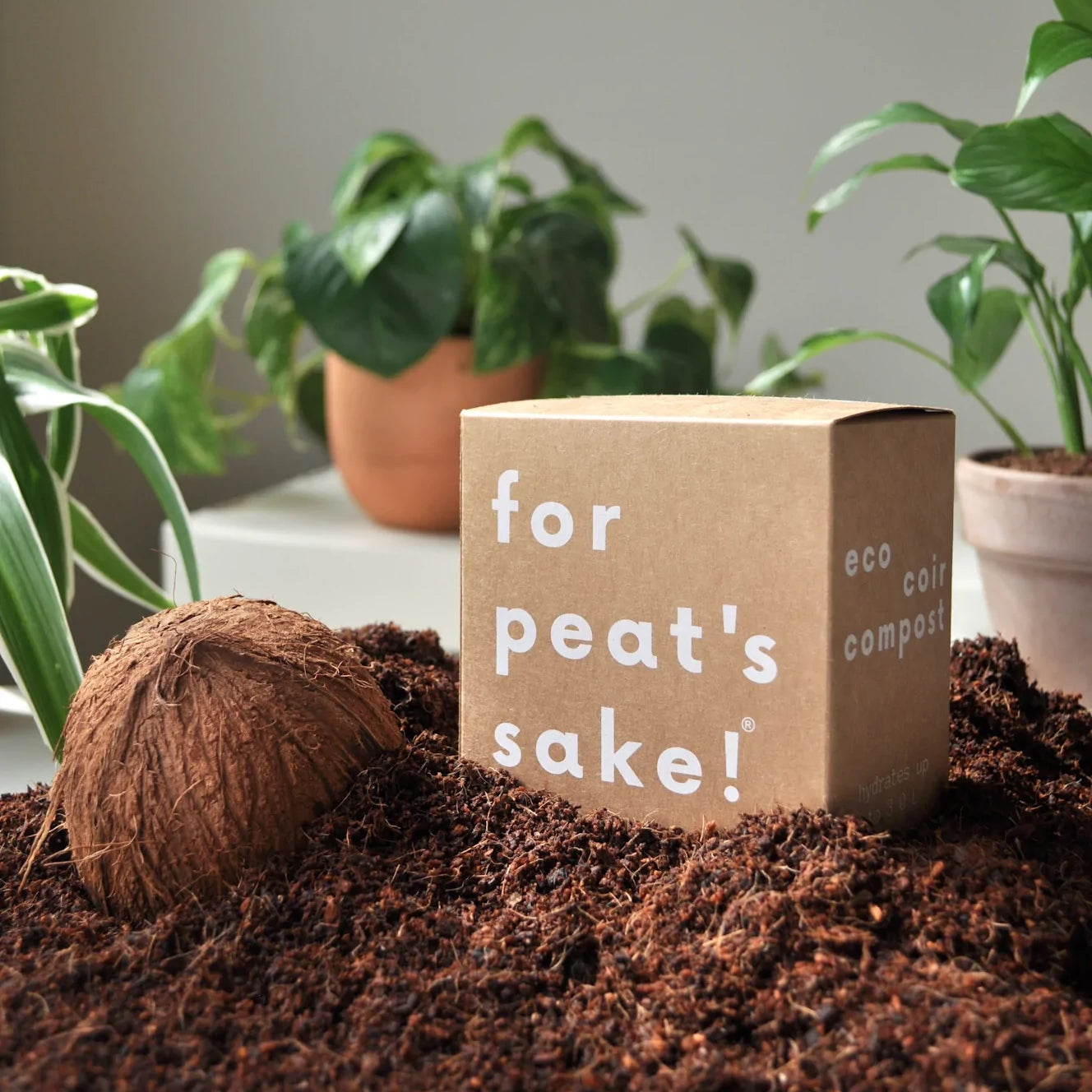 For Peat's Sake